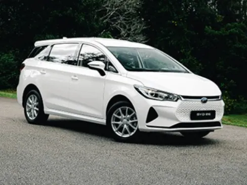 Thân xe BYD e6