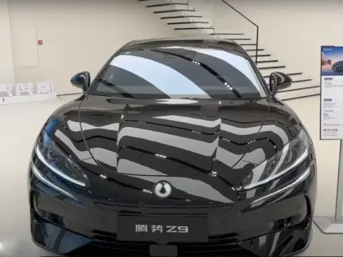 Đầu xe Denza Z9