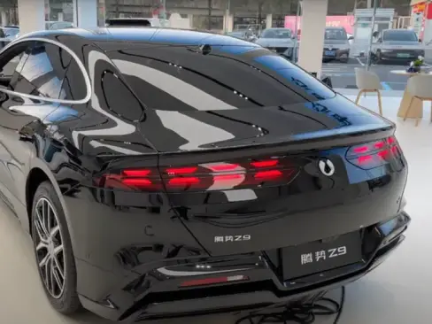 Đuôi xe Denza Z9